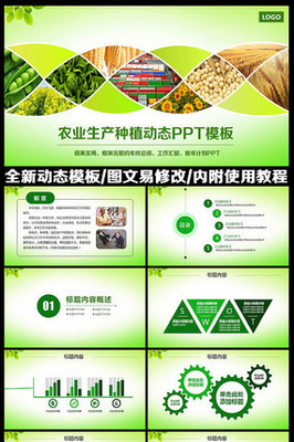 绿色生态农业招商农产品PPT