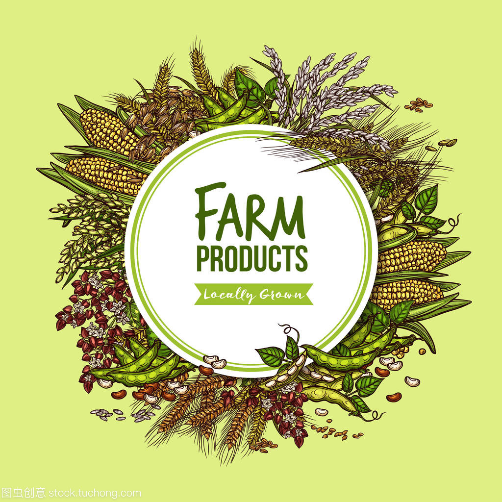 谷物、 蔬菜和豆制品农场产品海报