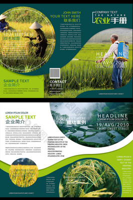 绿色农业水稻种植技术农副产品农业三折页模板免费下载_1920像素PSD图片 .