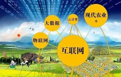 农业商业模式有哪些_农业商业模式创新